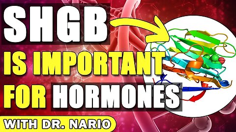 SHGB Is Important for Hormones