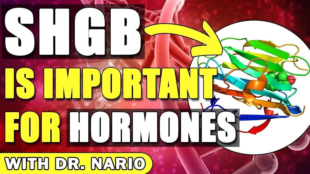 SHGB Is Important for Hormones