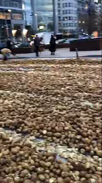 🇪🇺The video shows the streets of Brussels littered with potatoes after farmers' protests.