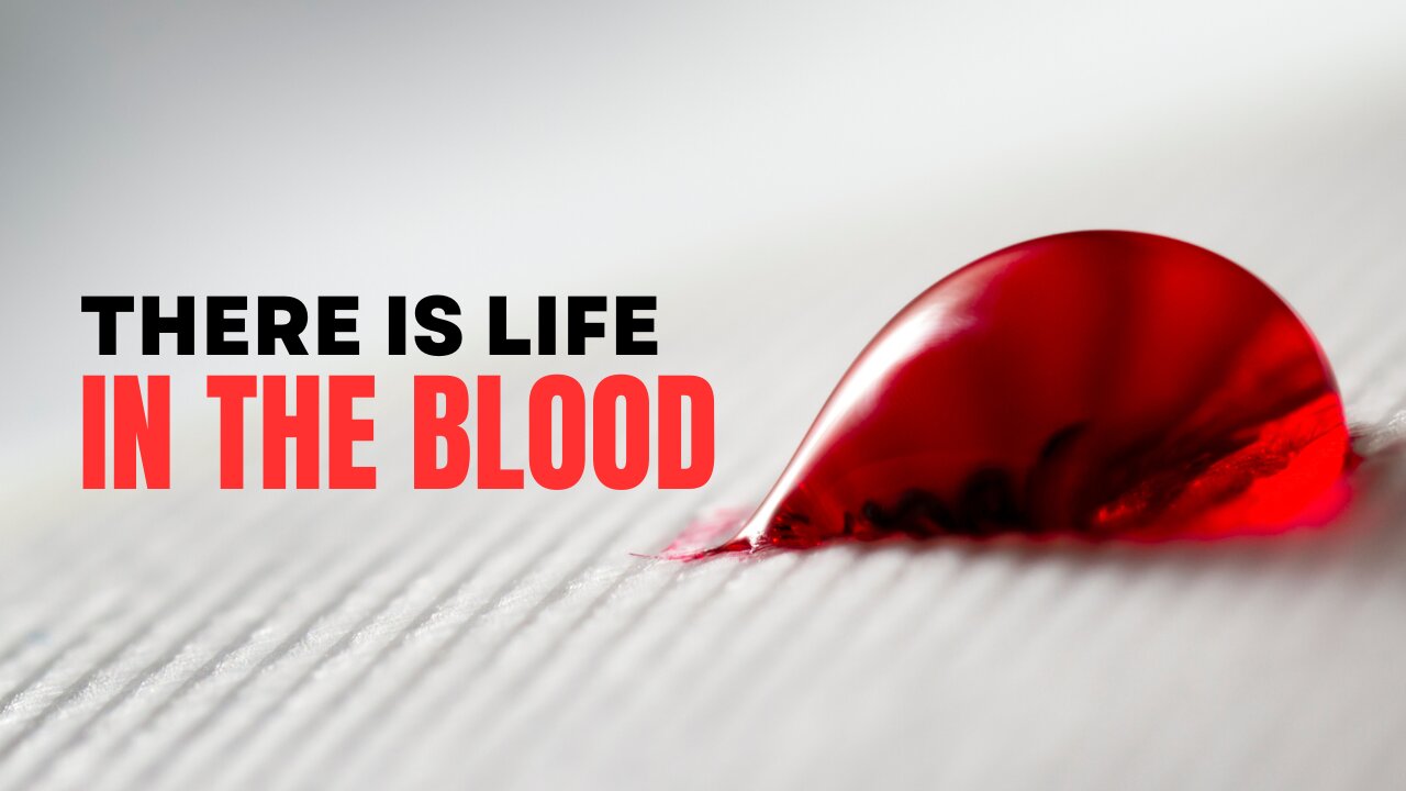 THE PRECIOUS BLOOD THAT GIVES LIFE