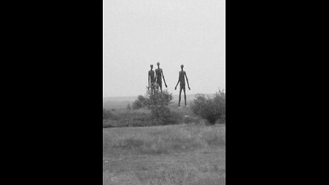 dna scouts of the apocalypse