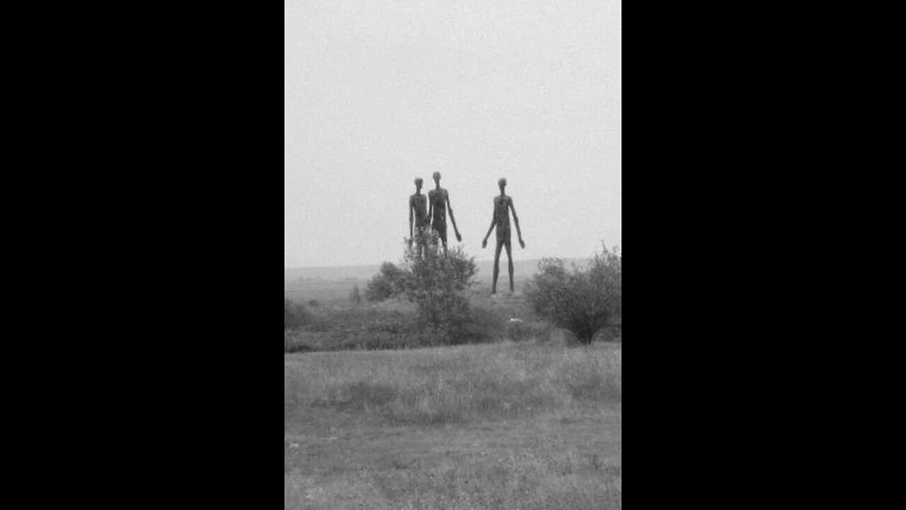 dna scouts of the apocalypse