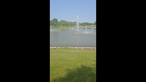 My Peaceful Place - Why are so Many Billionaires Communist?