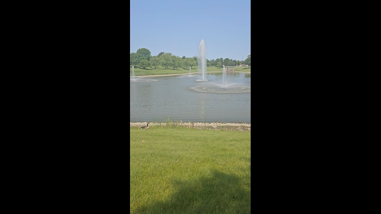 My Peaceful Place - Why are so Many Billionaires Communist?