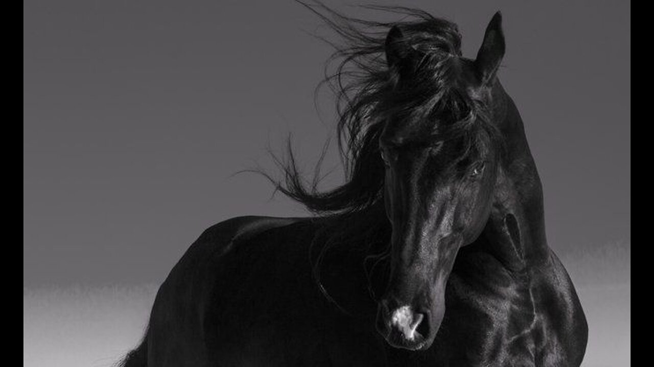 Six Seals - Part 3: Black Horse