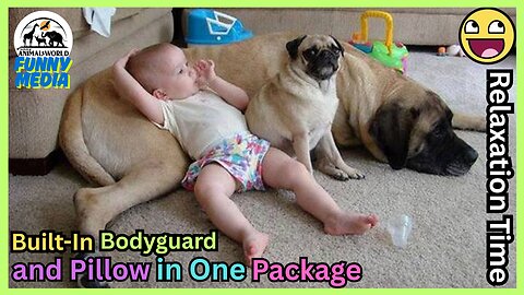 🐶 Built-In Bodyguard and Pillow in One Package 💖