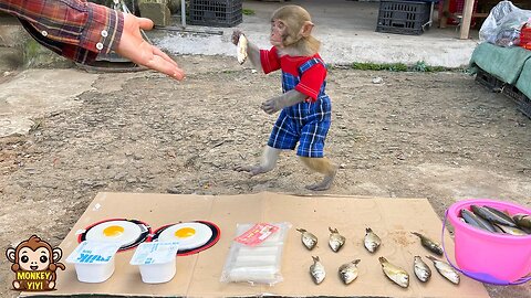 Touching! YiYi goes fishing to sell at the market to buy giant eggs for YinYin
