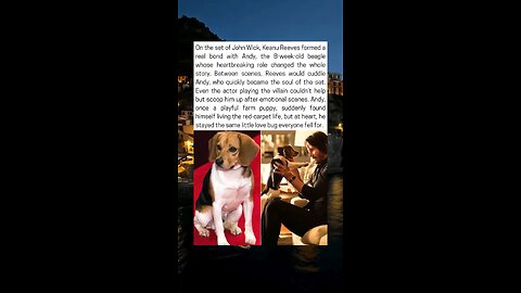 Keanu Reeves’ Special Bond With His John Wick Puppy