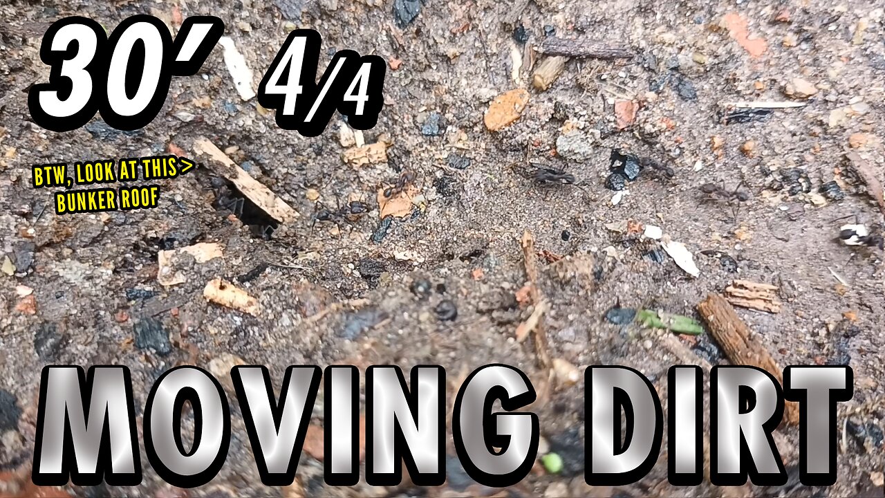 ASMR | It's a gloomy, humid, grey work day on the little trench - 30' 4/4