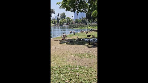 Other side of California