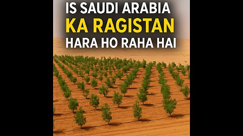 Ye kya kar rahe hai saudi arab ke prince!!