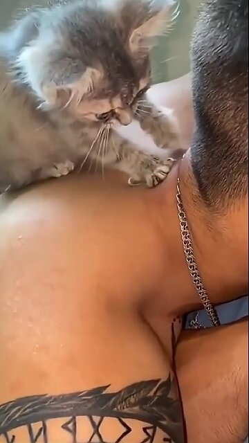 Funny cats and dogs!