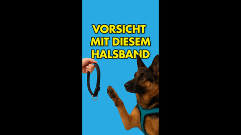 😱 Vorsicht mit diesem Halsband!