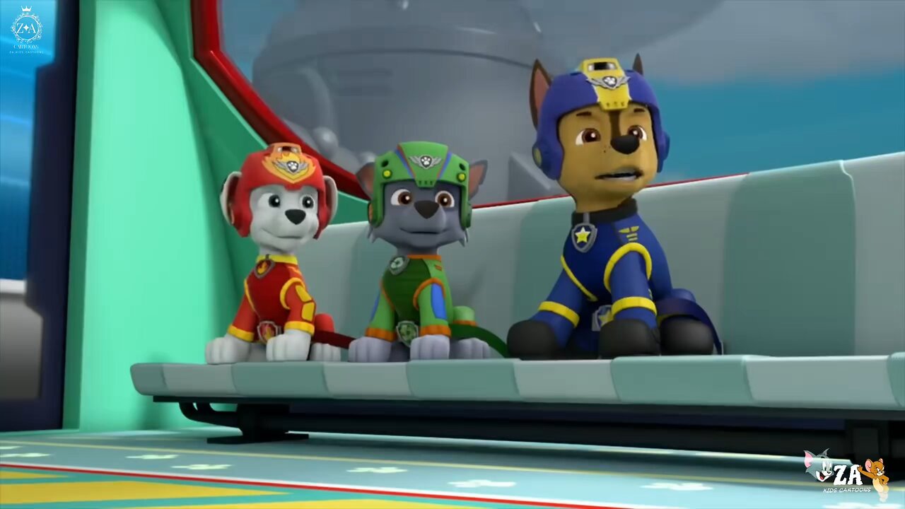 PAW Patrol Cartoons