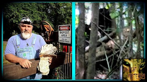 NEW BIGFOOT FOOTAGE from NC