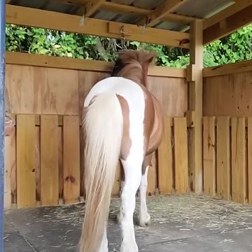 Easy like Sunday Morning