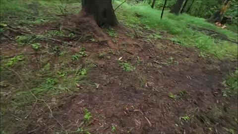 Myšpule Svět . org - O ovčanské naivitě videjko z cyklu Sláva Rodu. Věnováno Marušce a Mojmírovi