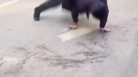 Men vs fish break dance 🕺 👌