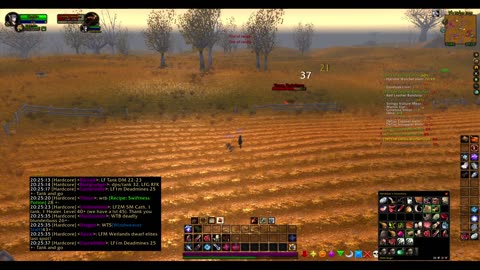 Turtle wow - Melee HC Slow and Steady Hunter - Part 20 - level 20 - No commentary