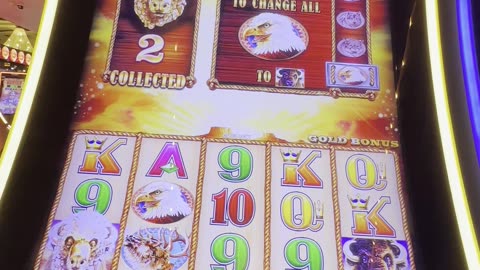 Buffalo Gold bonus round 🎉🎰🥳