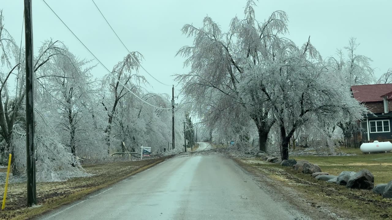 Severe Ice Storm in Southern Ontario - Freezing Rain | Downed Trees | Power Outage March 30 2025