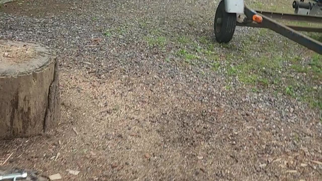 My rewinds bring all sees to the yard