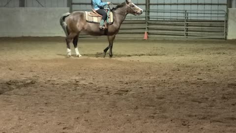 Diva loves to sidepass EVEN when you do NOT want her to!