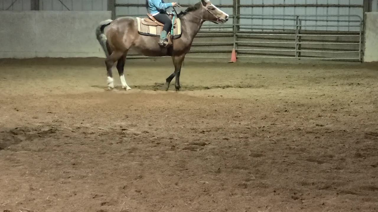 Diva loves to sidepass EVEN when you do NOT want her to!