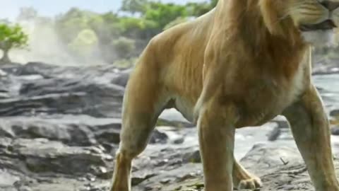 Mufasa 😍❤️ (Part - 33).....#reels #viralreels #reel #mufasa #animation #lastest #romantic #viralreel