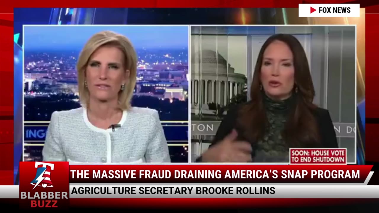 The Massive Fraud Draining America’s SNAP Program