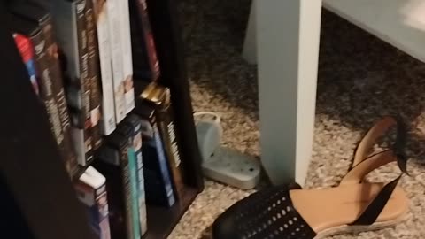 NYC mayor is Muslim, way to go