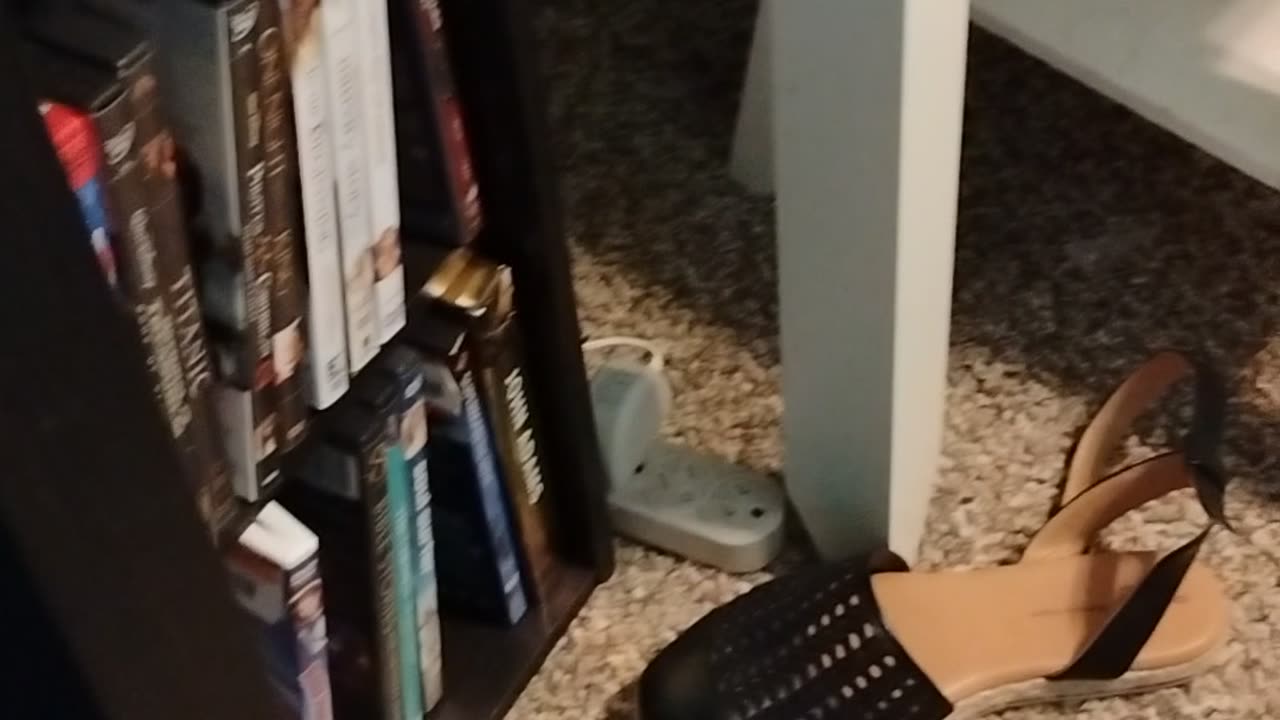 NYC mayor is Muslim, way to go