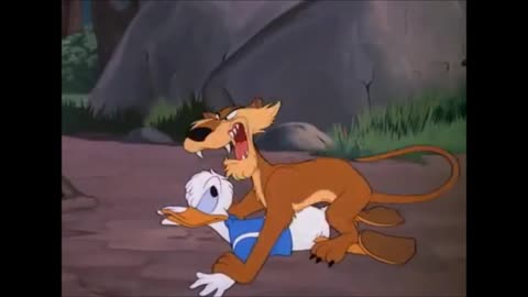Disney: Lion Around (1950)