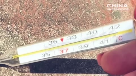 La Chine est en ébullition : le sol atteint 77 °C, les routes se fissurent, les oiseaux s'effondr...