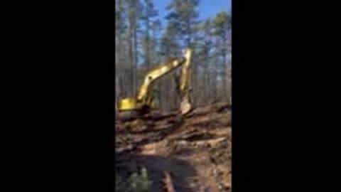 LAND CLEARING & STUMPING a LOT