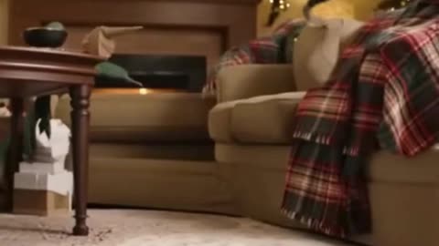 🐱✉️🎄 My Cat Found a Christmas Letter… And Decided It Was a Toy 😂✨