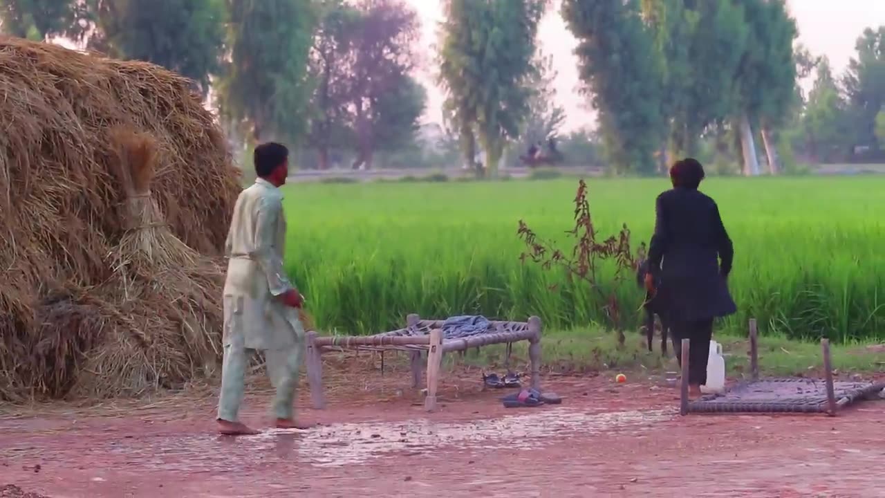 BEST Of Fainting BUSHMAN Pranks LOL Compilation~ 😆😁