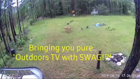 Sgt WarDawg TV® - 24/7