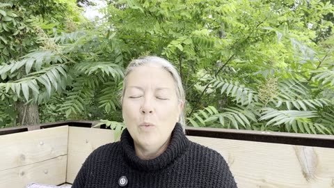 Daily Channeled Transmission #1: Love is the Frequency of All Creation