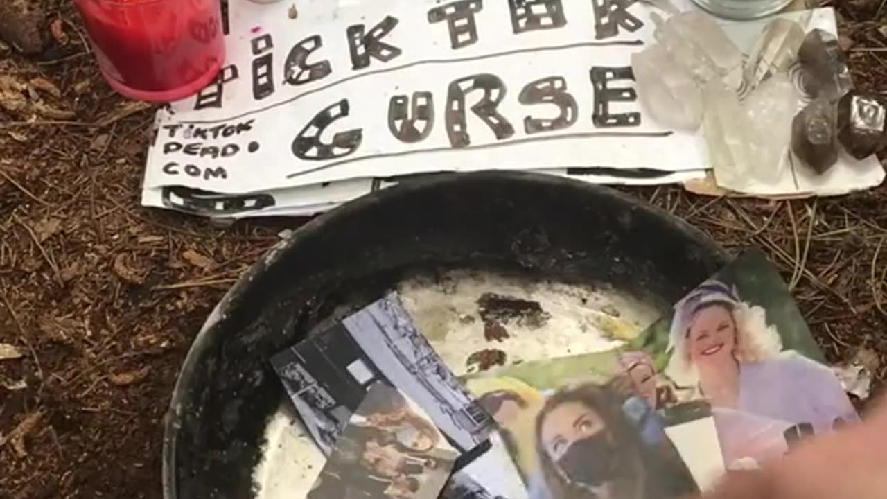 Tim Rifat TikTok Videos