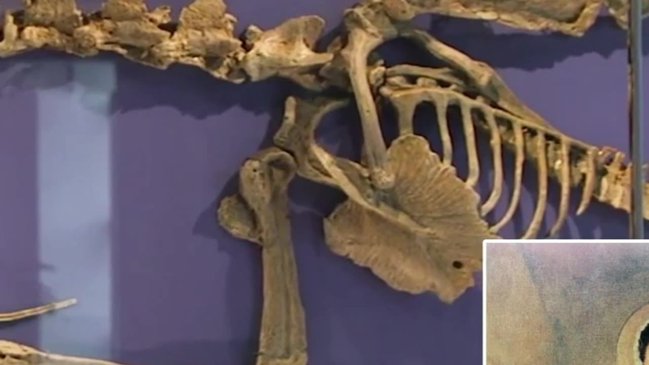 Dragons in Ancient History: Separating Myth from Reality