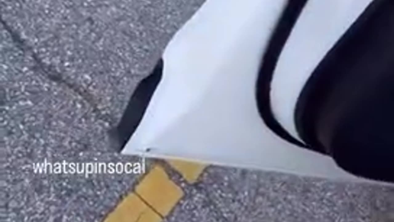 He thought he was helping the situation and BECAME the situation