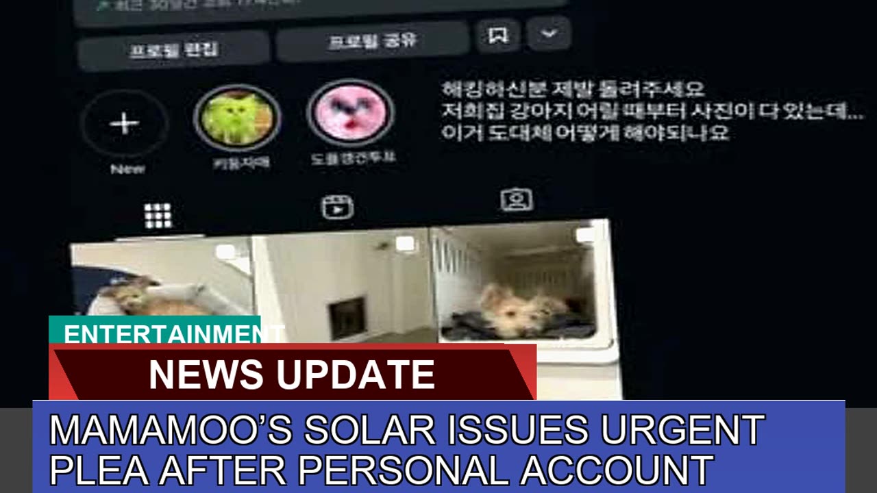 Mamamoos Solar Issues Urgent Plea After Personal