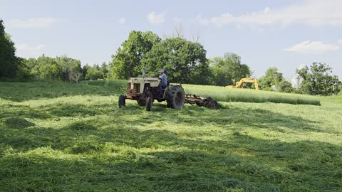 Cutting hay 2025