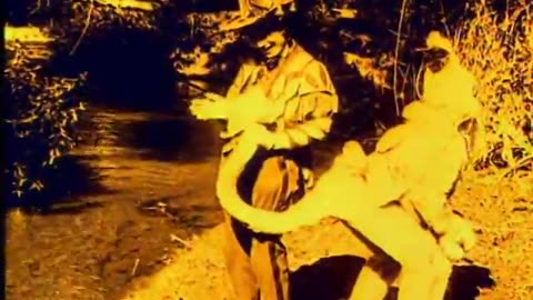 The Patchwork Girl of Oz (1914)