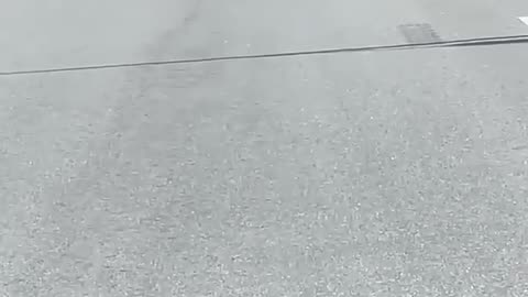 😂⏰ You Won't Believe This Perfect Timing! | FunFM