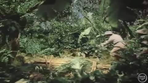 Kick Classic TV: Where Public Domain Films Come Alive.