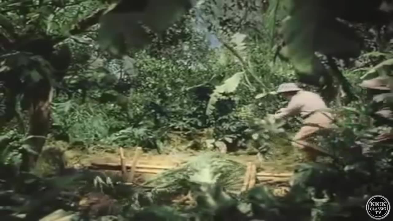 Kick Classic TV: Where Public Domain Films Come Alive.