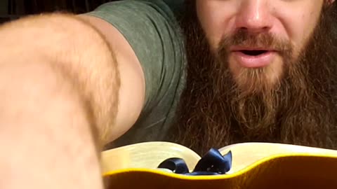 August 10th, One Year Bible Reading by Ardee..