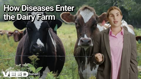 Unseen Threats:Disease Routes on Dairy Farms